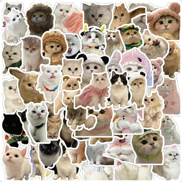 60PCS Lindo Gatitos Gatos MEME Pegatinas Impermeables Para Portátil Casco Calcomanía