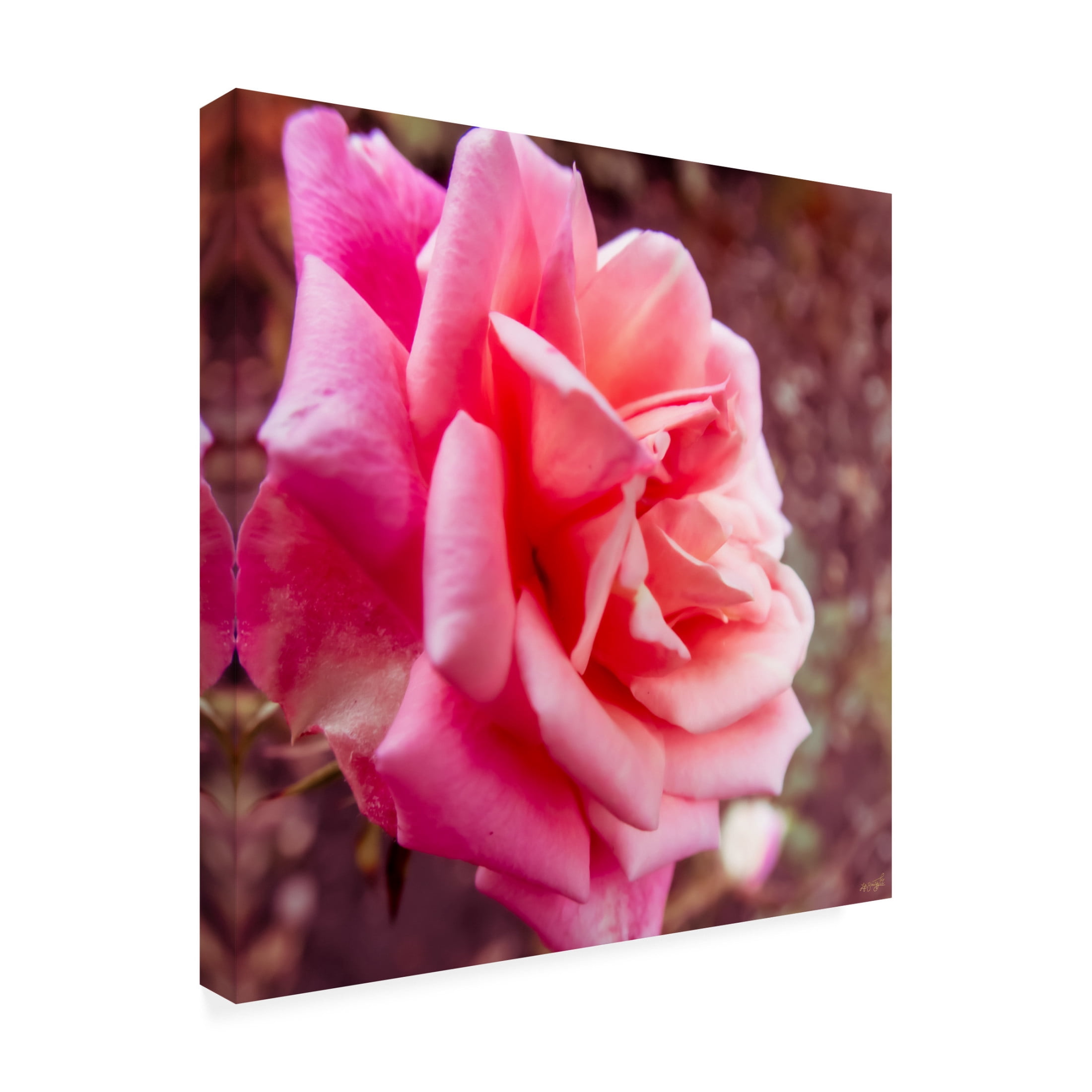 Canvas Wall Art - Life BeautifuLEE 'Pink and Dreaming 1' Wall Art for Living Room, Bedroom, or Office Décor by Trademark Fine Art - 24 x 24 Inches