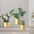 thumbnail image 4 of Wosthever Soporte dorado para plantas con maceta, estante de lujo ligero a la moda, tipo de suelo, soporte para suculentas, maceta grande de Metal para Jardín y Patio Oro Wosthever HA083862-03, 4 of 6