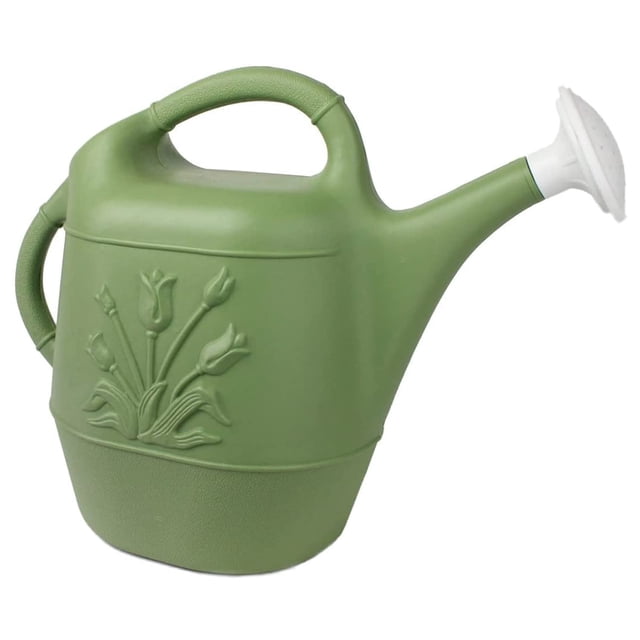 Regadera Union de plástico 7,5 L para interior y exterior, verde salvia