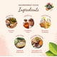 thumbnail image 4 of Toallitas Pet Head Paw & Body para perros y gatos, 100 unidades, 4 of 6