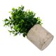 thumbnail image 2 of Simulación de 1pc de la planta verde Simulación de decoración del hogar de la planta en maceta, 2 of 5