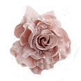 thumbnail image 5 of Japanese Style Sweet Lace Simple Corsage Fresh Cute Rose Brooch Pin Fashion Pin Accessories, 5 of 5