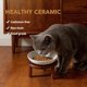 thumbnail image 5 of Cuenco para gatos elevado cerámica cuenco para comida gatos antideslizante con soporte ajustable uso interior, 5 of 8