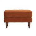 thumbnail image 2 of TOV Furniture Poufsouffle en Velours de Senne Brûlée Cave, 2 of 4