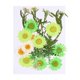 thumbnail image 1 of 23 piezas de flores secas., 1 of 3
