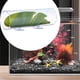 thumbnail image 1 of Túnel Betta Tubo acrílico para peces Betta, accesorio para pecera, juguete para peces Betta, cueva para acuario Cueva para peces Betta para cangrejos, 1 of 8
