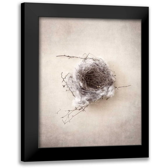 Van Swearingen, Debra 12x14 Black Modern Framed Museum Art Print Titled - Nest III