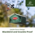 thumbnail image 6 of Kingsyard Upside Down Double Suet Feeder for Outside Hanging - Recycled Plastic Wild Bird Feeder with Rainproof Roof for Attracting Woodpeckers Nuthatches Chickadees Finches. Green, 6 of 7