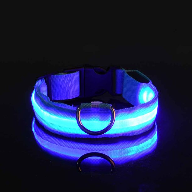 Collar LED Luminoso Para Perros , Noche Intermitente , Mascota Para Caminar Gao Jinjia unisex