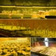 thumbnail image 5 of Grow Lights Para Plantas De Interior Lámparas De Cultivo De Plantas De Espectro Completo Luz De Panel De Plantas Eigraketly HA045887-01, 5 of 6
