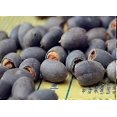 thumbnail image 2 of 10 Pcs Mixed Color Bonsai Bowl Lotus Seeds - Exotic Water Lily Flower Plant Seeds for Ornamental Pond and Home Planting, 2 of 4