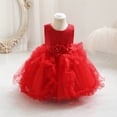 thumbnail image 2 of Coerni Robe de Soirée en Tulle Sans Manches pour Filles, Robe de Princesse, Robe de Mariage, Robe de Fête d'Anniversaire, 2 of 4