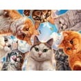 thumbnail image 1 of 750P CATS, 1 of 5
