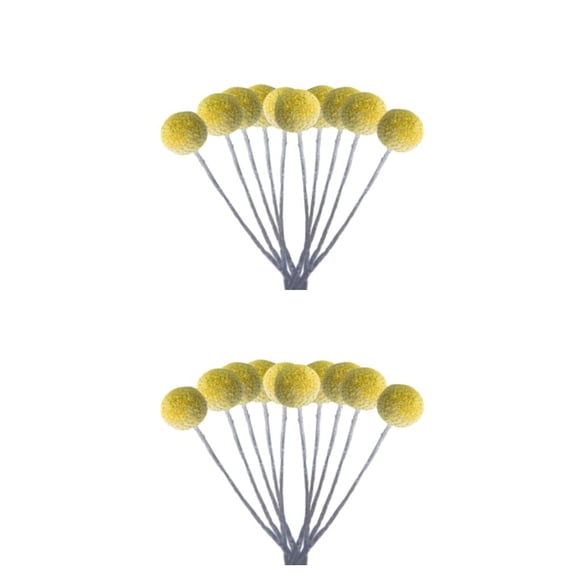 Inteprter 10 bolsas que transforman el espacio habitable con ramos de flores secas naturales que embellecen el sentido de la vida de la textura talla mediana 2Conjunto