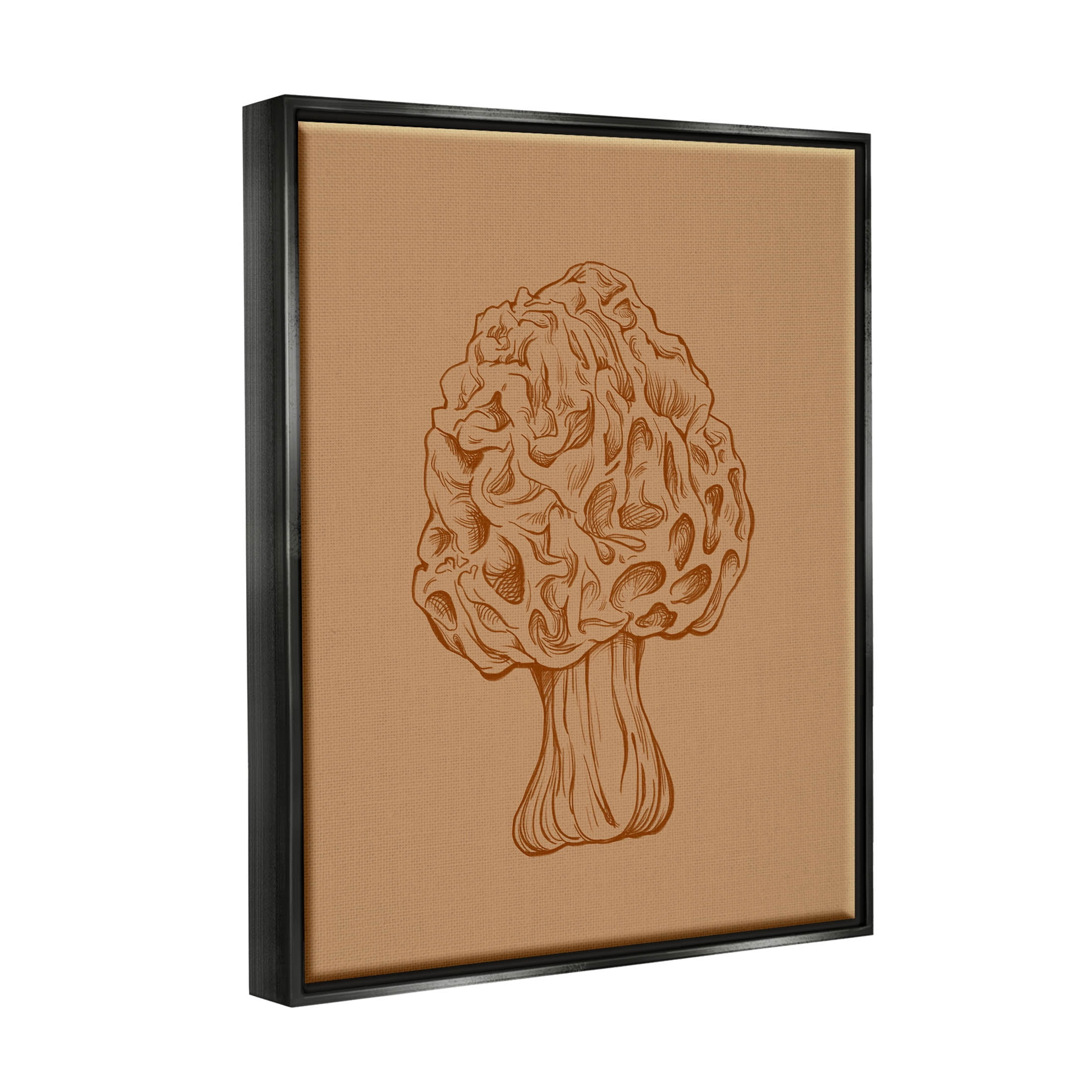 Stupell Industries Organic Mushroom Detailed Study Graphic Art Jet Black Floating Framed Canvas Print Wall Art, Design by Ziwei Li