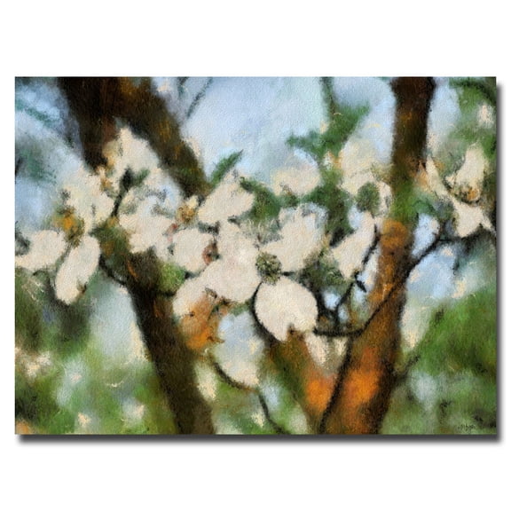 Trademark Fine Art "Dogwood Tree" Canvas Wall Art by Lois Bryan