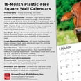 thumbnail image 6 of Cows | 2026 12x24" (Hanging) Square Wall Calendar | Plastic-Free, 6 of 9