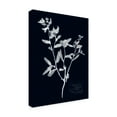 thumbnail image 2 of Trademark Fine Art 'Impressions on Indigo III' Canvas Art by Vision Studio, 2 of 4