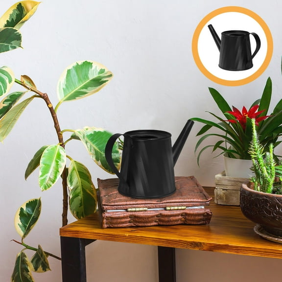 Hemoton Metal Mini Watering Can With Long Spout Small Watering Can Handheld Mini Flowers Succulent Planter Planting Watering Kettle