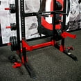 thumbnail image 3 of Lifeline Fitness Pro Half Rack C1 Dip Station, 3 of 4
