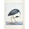 thumbnail image 2 of Lewin, William 18x24 Gold Ornate Wood Framed with Double Matting Museum Art Print Titled - Heron, 2 of 4