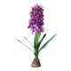 thumbnail image 2 of Teissuly Hyacinth Artificial Flower, Fake Flowers Real Touch Decor with Corm Bouquet Leaves for Home Garden Outdoor Decoration Teissuly WER202310163454, 2 of 4