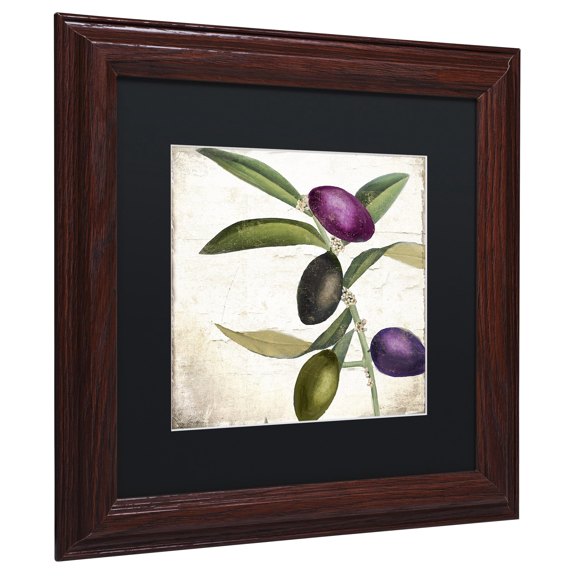 Trademark Fine Art "Olive Branch II" Canvas Art by Color Bakery, Black Matte, Wood Frame