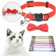 thumbnail image 3 of Collar de gato con campanas Collar de perro ajustable Collar de gato Gatito Pajarita Collar de perro Collar de cachorro Suministros para mascotas con hebilla (verde fluorescente) JAMW Sencillez, 3 of 5