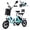 Blue, variant on DRNANLIT Folding Electric Tricycle for Adults 48V Removable Battery,with 2 Seats , 350W,MotorUp to 45 Miles
