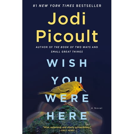 Wish You Were Here: A Novel (Paperback)