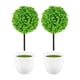 thumbnail image 2 of Wakauto 2pcs Plantas en maceta artificiales Delicadas Simuladas de hierba verde Bola Faux plantas en maceta para la mesa de la casa, 2 of 5