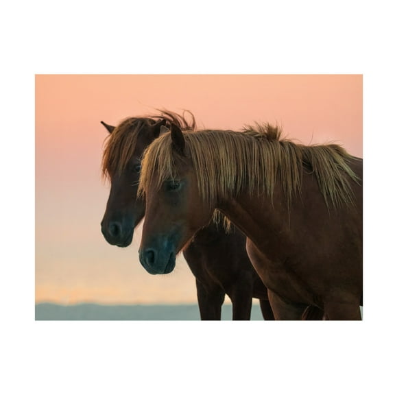 Trademark Fine Art Wenjin Yu Looking Forward Canvas Wall Art