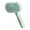 Green, variant on HHGBAD Electric Spray Pet Grooming Brush - Anti-Fly Hair Comb with 35ml Tank & Stainless Steel Teeth for Cats/Dogs