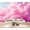 Color 4, variant on Enchanted Forest Wallpaper Pink Orange Sunset Clouds Against Soft Blue Sky Peel and Stick Wall Murals 69"H x 96"W Removable PVC Wall Paper Self-Adhesive Wall Paintings for Bedroom Living Room