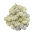thumbnail image 1 of Artificial Green Moss Grass for Wall Decor - DIY Home Living Room Decorative Floral Accessory, 1 of 2