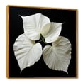 thumbnail image 2 of Designart "Artistic Depiction Of Black And White Leaves On Glass I" Leaves Floater Framed Wall Decor, 2 of 5