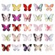 thumbnail image 5 of KAKOWELY 50Ud Miniaturas De Resina Multicolor Para Manualidades Y Proyectos DIY, 5 of 8