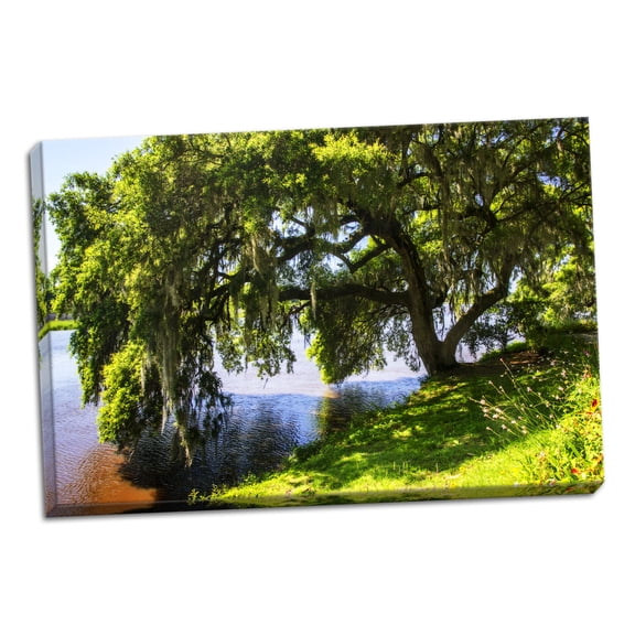 Gango Home Decor Ashley River Bank IV by Alan Hausenflock (Ready to Hang); One 36x24in Hand-Stretched Canvas