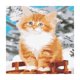 thumbnail image 2 of Kit de bricoje Pintura al por números Dibujo con pinceles Decoración sin marco para principiantes - 40 * 50cm - Gato color BLESIY Pintura por kits de los números, 2 of 8