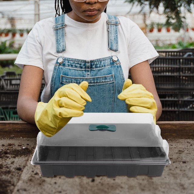 unbranded 3Jgo Para Germinación De Plantas Variadas Con Espacio Y Cubierta Transparente
