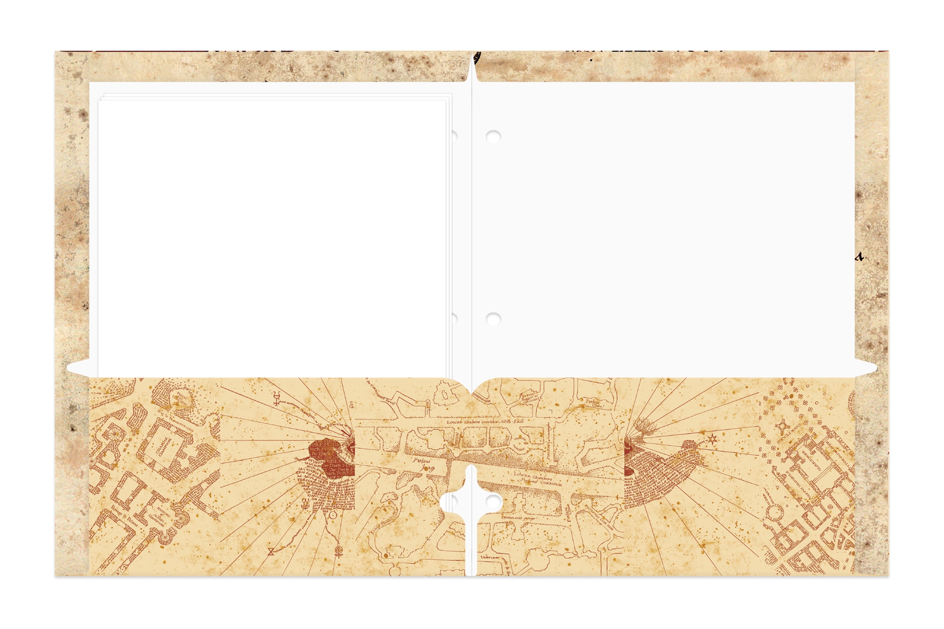 Warner Brothers Harry Potter 2-Pocket Paper Folder, 3-Hole Punched