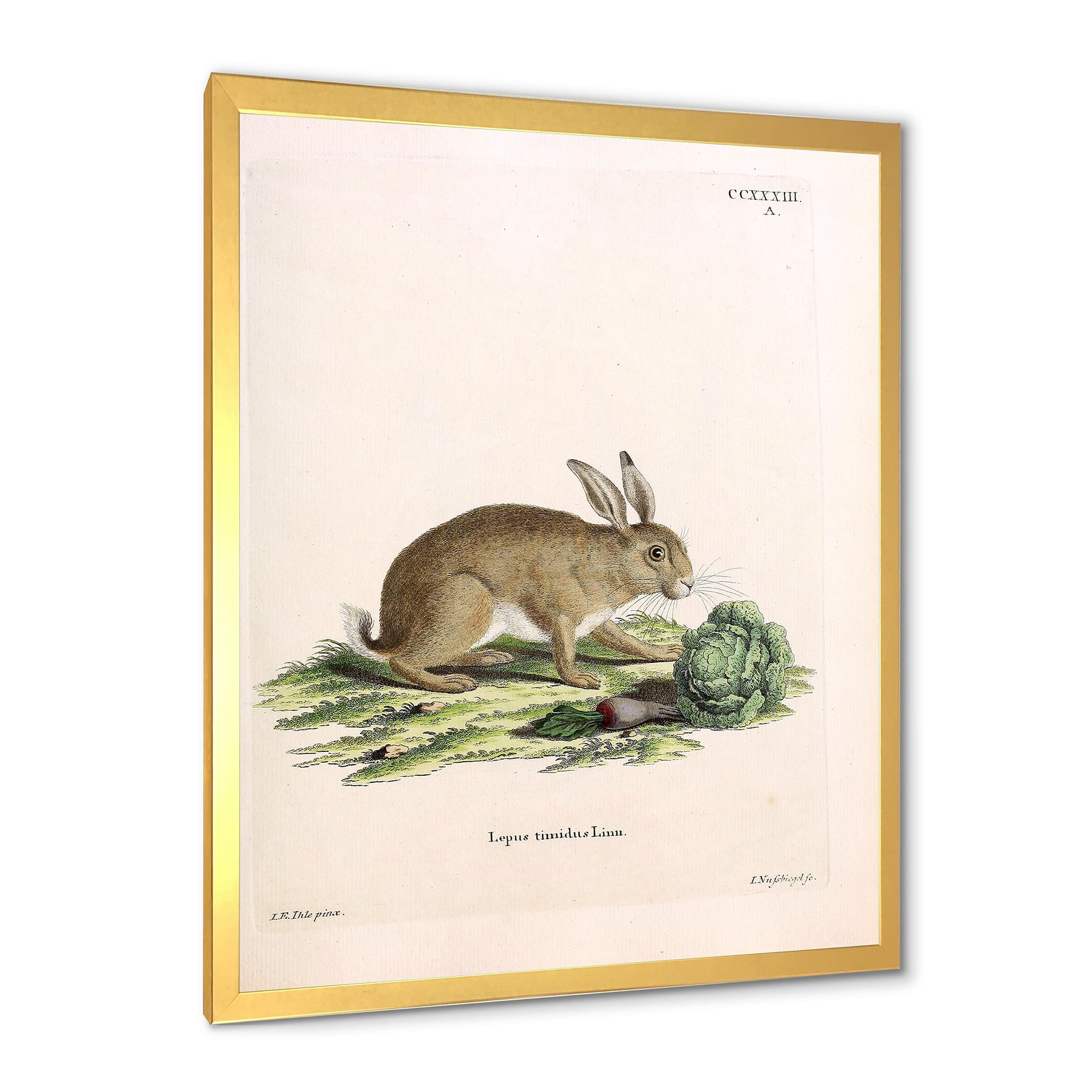 Designart 'Ancient Rabbits In Earth Tones' Farmhouse Framed Art Print