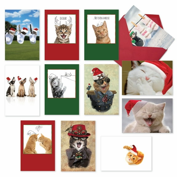 The Best Card Company 12 Assorted Box Set Christmas Greeting Cards w/5 x 7 Inch Envelopes (12 Designs, 1 Each) Merry Catsmas A5647XSG-B1x12