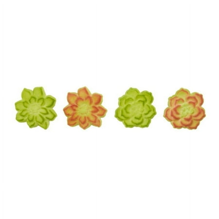Succulents Assortment Dec-Ons® Decorations (12 pieces)