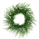 thumbnail image 1 of Guirnalda Guirnalda verde Flores blancas Hojas Decoración Vegetación Artificial para puerta Pared Hogar Boda Yuarrent HA9039-00B, 1 of 6