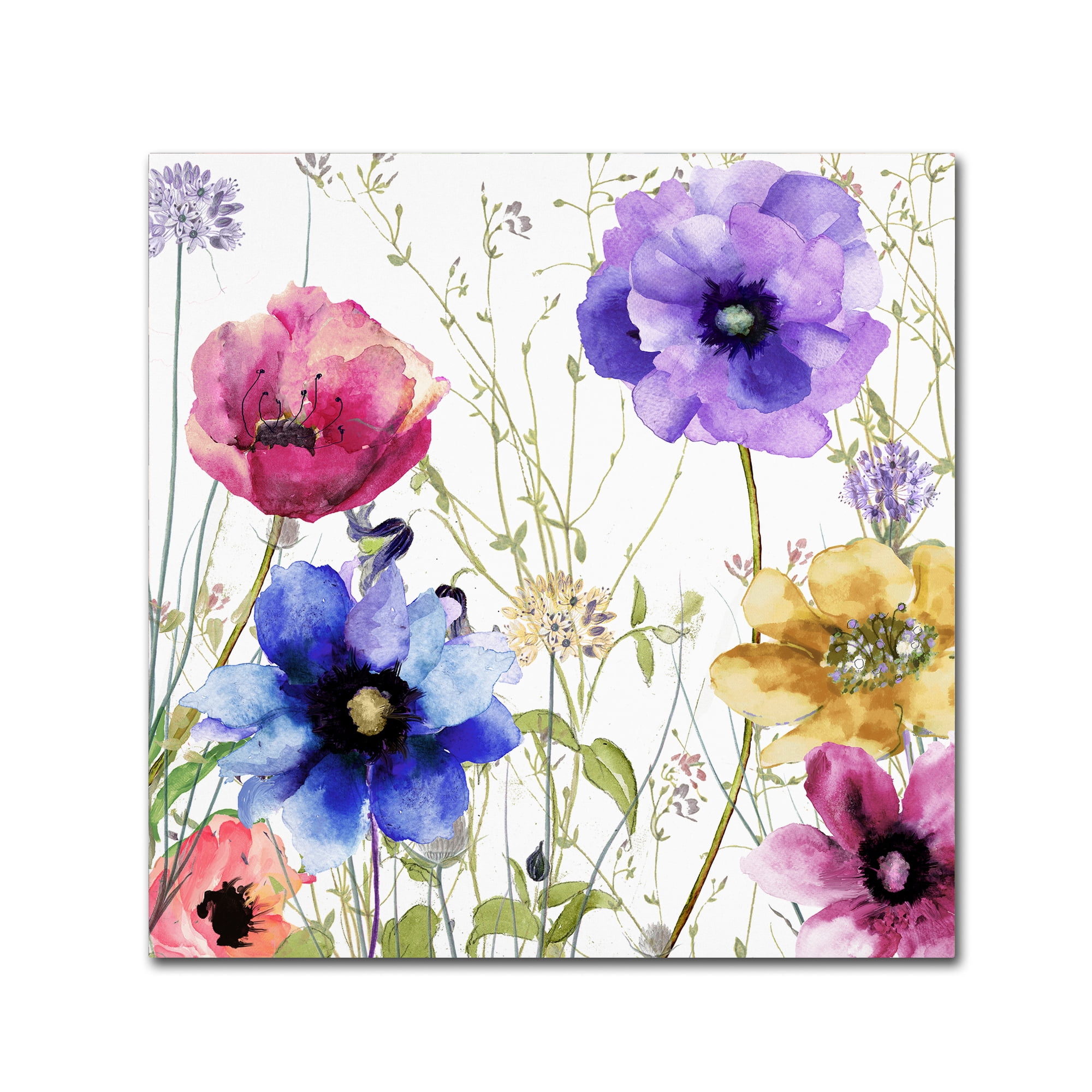 Trademark Fine Art Floral Canvas Art ' Summer Diary II ' by Color Bakery