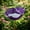 Purple, variant on 2026 New Handmade Metal Flower Garden Stake, Bee Watering Station, Bee Bath for Garden Metal Bee Water Feeder with Flower Design, Colorful Butterfly Bee Bath Bowl for Outdoor Yard Decor