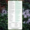 thumbnail image 2 of Root Rescue Mycorrhizal Transplanter - Wettable Powder, OMRI Listed, 18 Species, Fungi Inoculant, R, 2 of 9