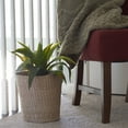 thumbnail image 4 of Household Essentials Handwoven Cattail Wicker Waste Basket, Natural, 4 of 7